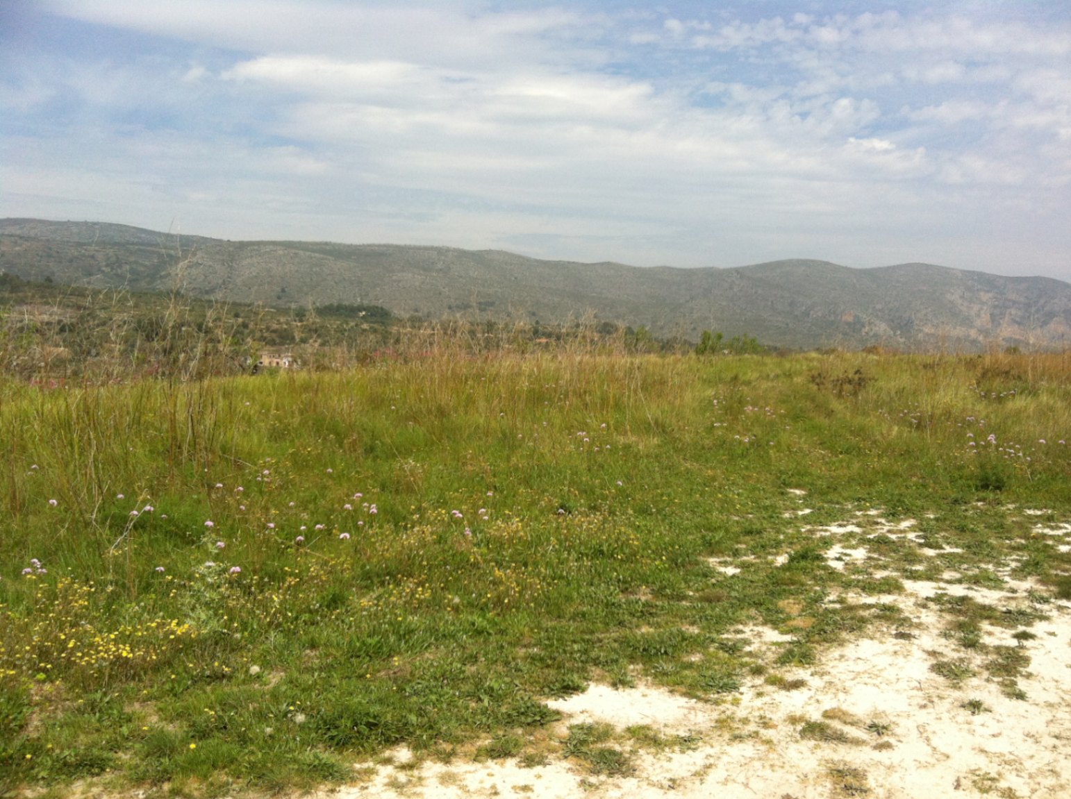 Terreno rústico con bonitas vistas en venta en Benissa
