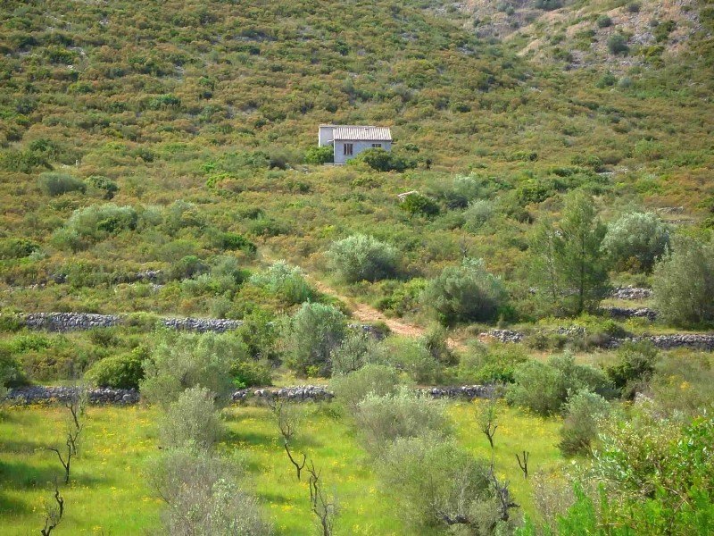 Tolles rustikales Grundstück zu Verkaufen in Alcalali